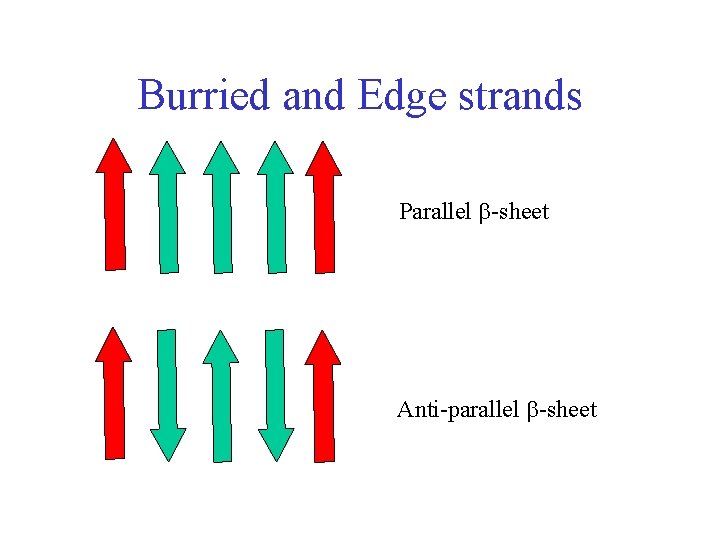 Burried and Edge strands Parallel -sheet Anti-parallel -sheet 