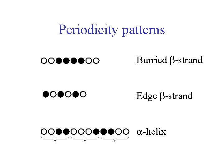 Periodicity patterns Burried -strand Edge -strand -helix 