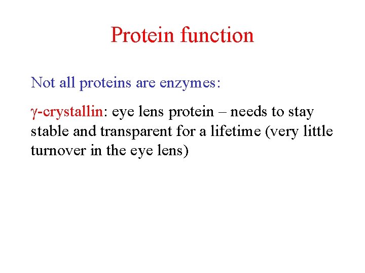 Protein function Not all proteins are enzymes: -crystallin: eye lens protein – needs to