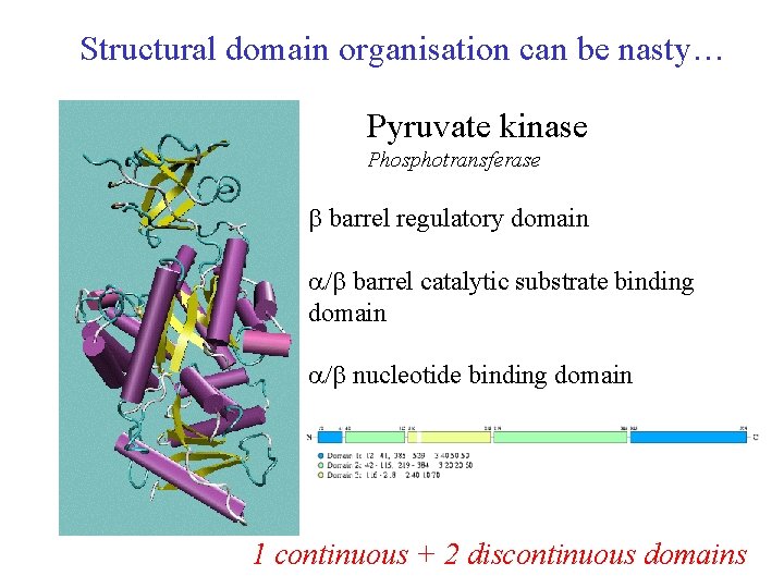 Structural domain organisation can be nasty… Pyruvate kinase Phosphotransferase barrel regulatory domain / barrel