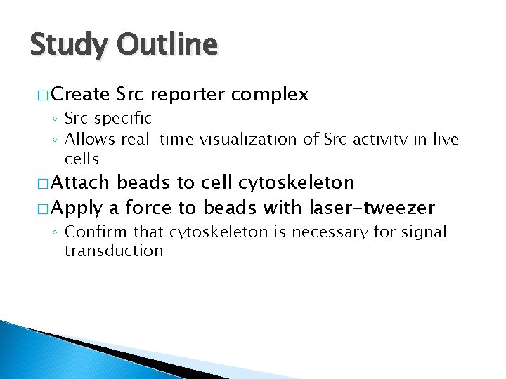 Study Outline � Create Src reporter complex ◦ Src specific ◦ Allows real-time visualization