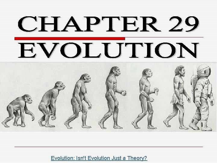 Evolution: Isn't Evolution Just a Theory? 