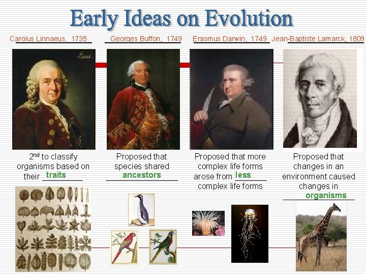 Carolus Linnaeus, 1735 ________ 2 nd to classify organisms based on traits their _____