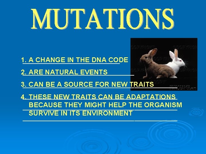 1. A CHANGE IN THE DNA CODE _________________ 2. ARE NATURAL EVENTS ____________________ 3.
