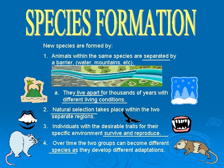 New species are formed by: 1. Animals within the same species are_____ separated by