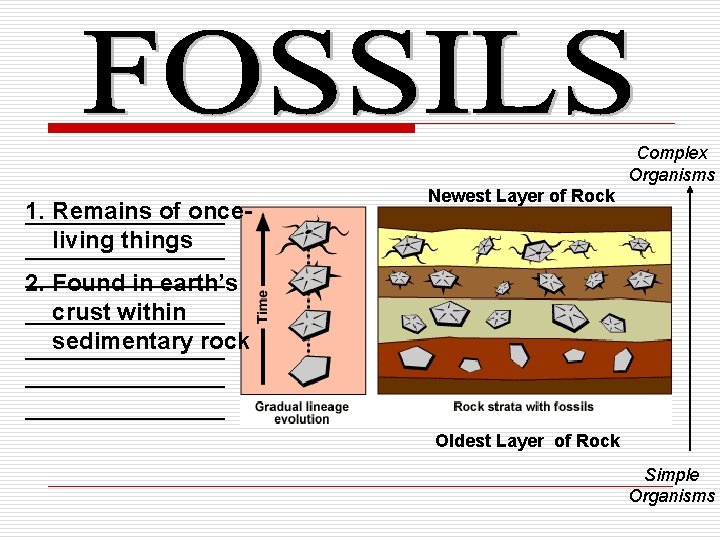 Complex Organisms 1. Remains of once__________ living things __________ Newest Layer of Rock __________