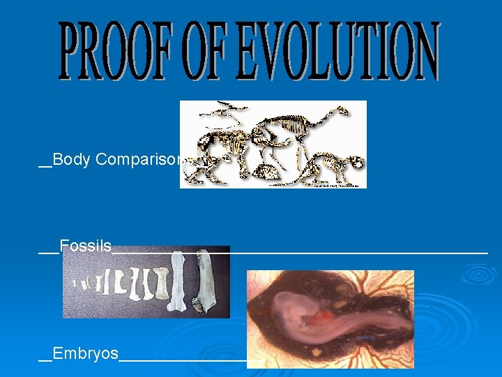 __Body Comparisons__ ___Fossils___________________________ __Embryos___________ 