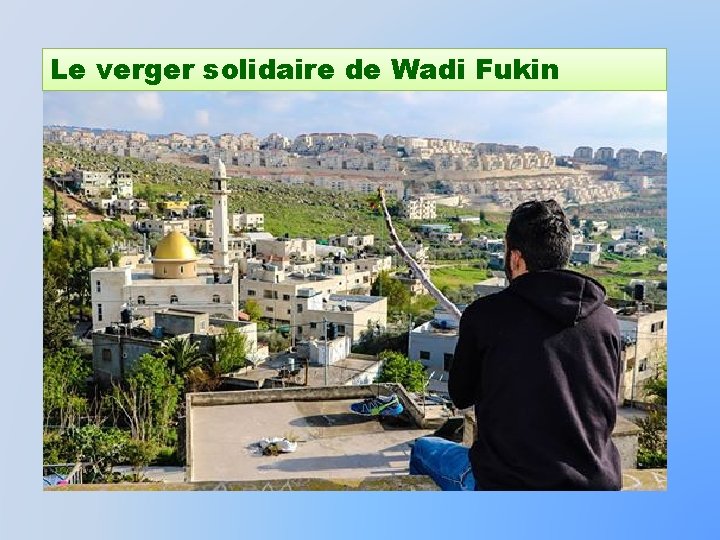 Le verger solidaire de Wadi Fukin 
