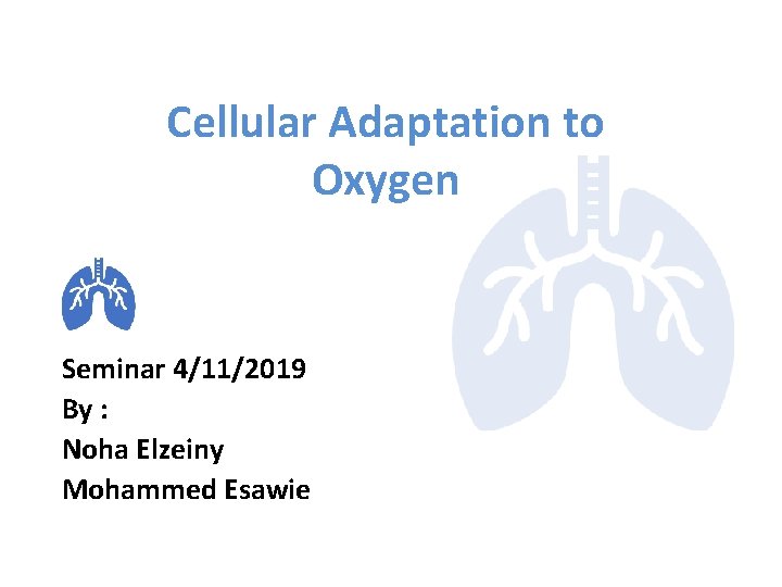 Cellular Adaptation to Oxygen Seminar 4/11/2019 By : Noha Elzeiny Mohammed Esawie 