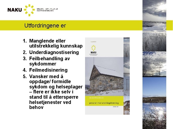 Utfordringene er 1. Manglende eller utilstrekkelig kunnskap 2. Underdiagnostisering 3. Feilbehandling av sykdommer 4.