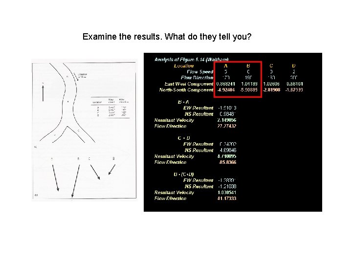 Examine the results. What do they tell you? 