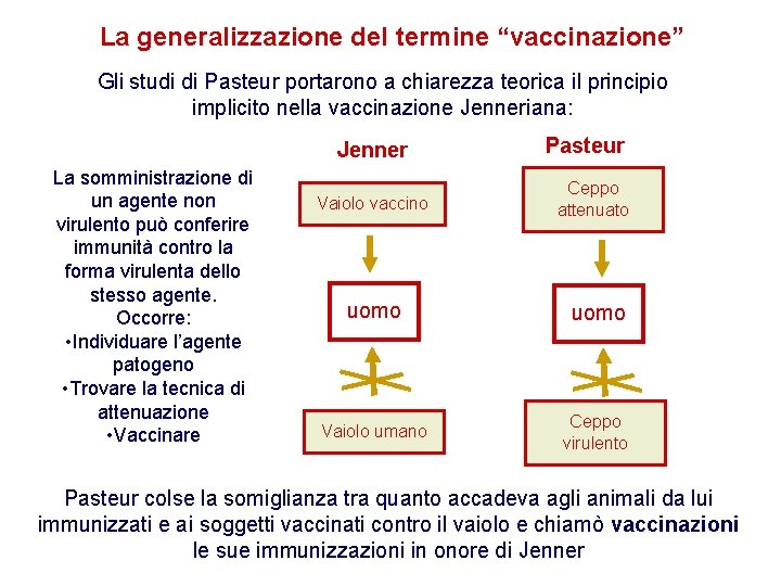 La generalizzazione del termine “vaccinazione” Gli studi di Pasteur portarono a chiarezza teorica il
