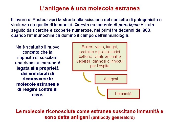 L’antigene è una molecola estranea Il lavoro di Pasteur aprì la strada alla scissione