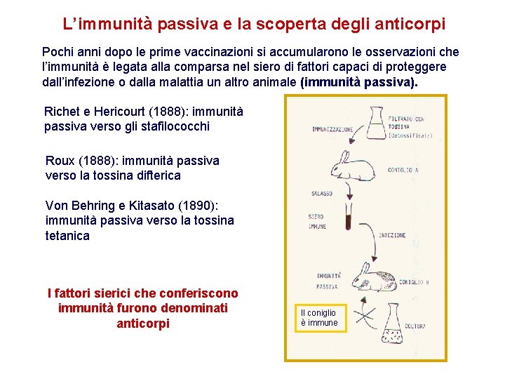 L’immunità passiva e la scoperta degli anticorpi Pochi anni dopo le prime vaccinazioni si