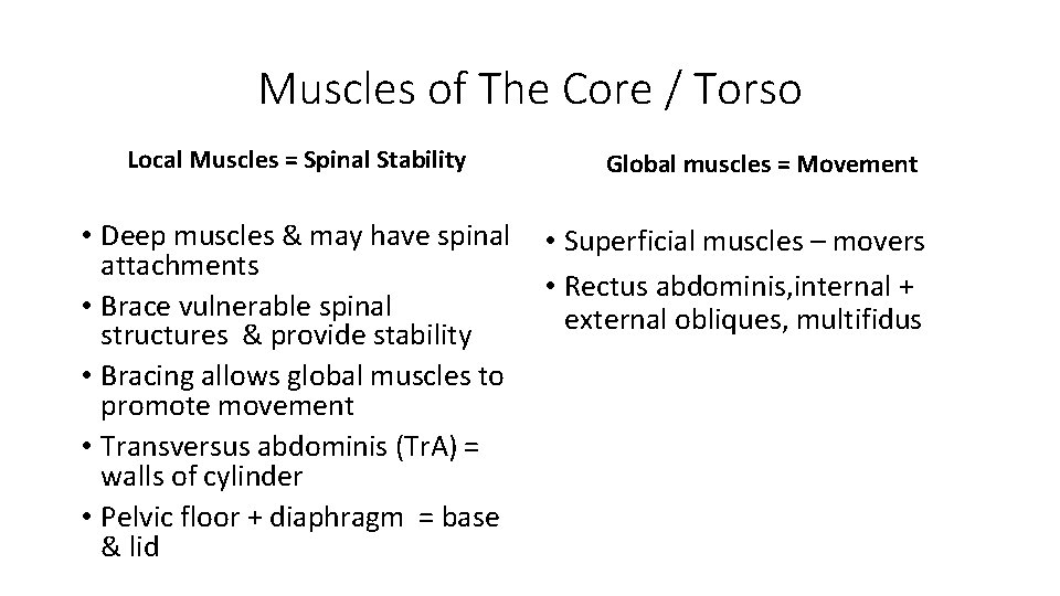 Muscles of The Core / Torso Local Muscles = Spinal Stability • Deep muscles Muscles of The Core / Torso Local Muscles = Spinal Stability • Deep muscles