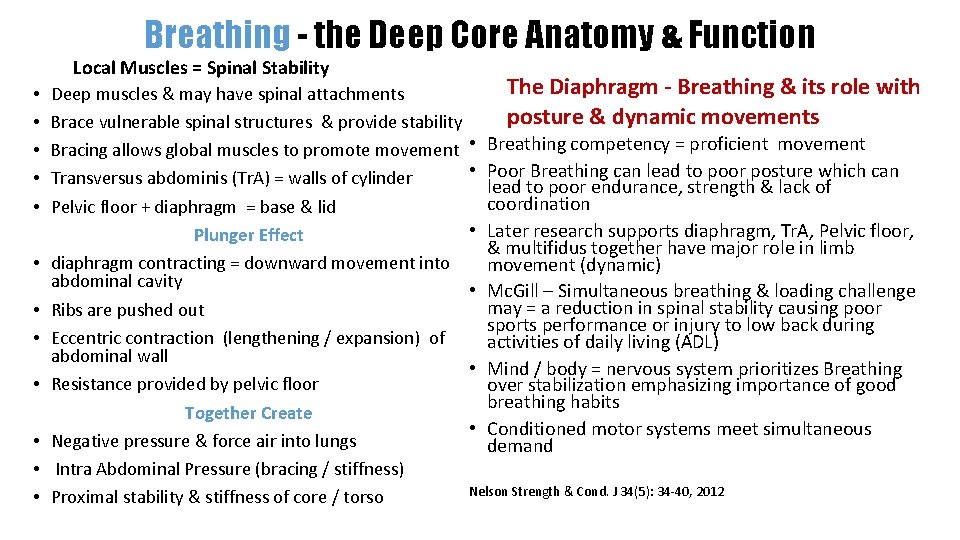 Breathing - the Deep Core Anatomy & Function Local Muscles = Spinal Stability • Breathing - the Deep Core Anatomy & Function Local Muscles = Spinal Stability •