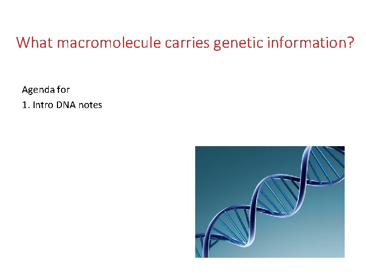 What macromolecule carries genetic information? Agenda for 1. Intro DNA notes 