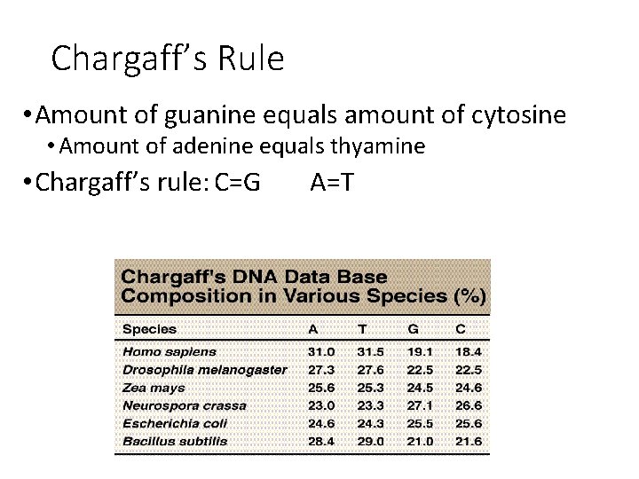 Chargaff’s Rule • Amount of guanine equals amount of cytosine • Amount of adenine