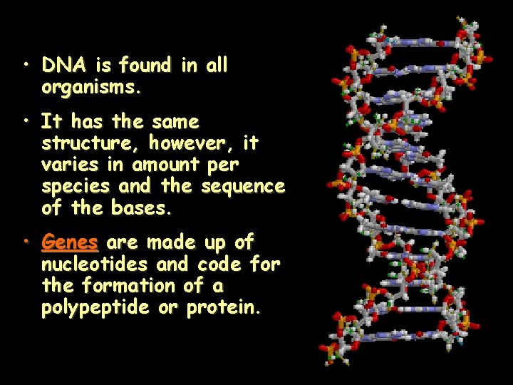  • DNA is found in all organisms. • It has the same structure,