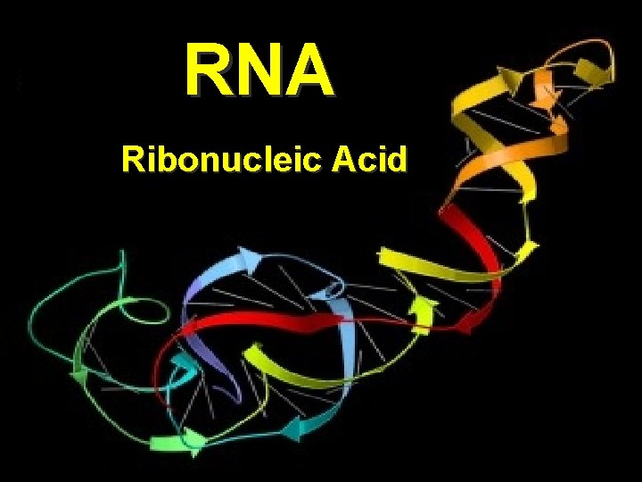 RNA Ribonucleic Acid 