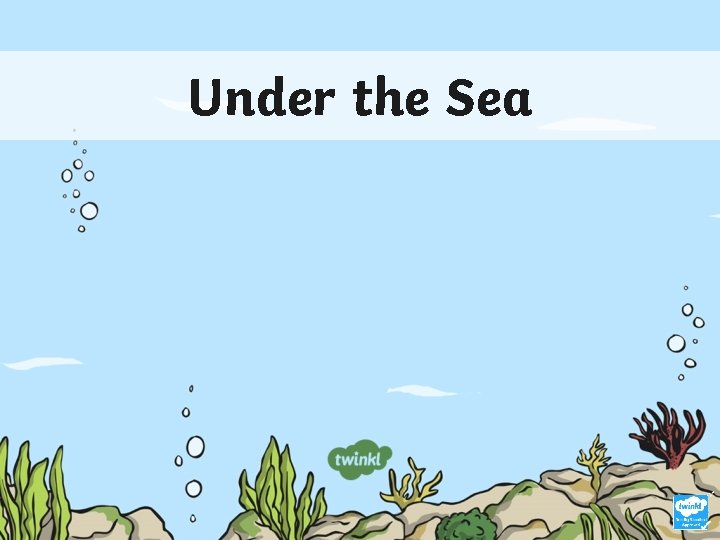 Under the Sea 