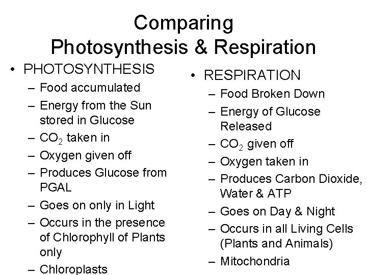 Comparing Photosynthesis & Respiration • PHOTOSYNTHESIS – Food accumulated – Energy from the Sun