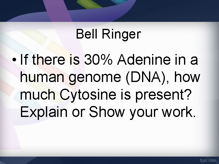 Bell Ringer • If there is 30% Adenine in a human genome (DNA), how