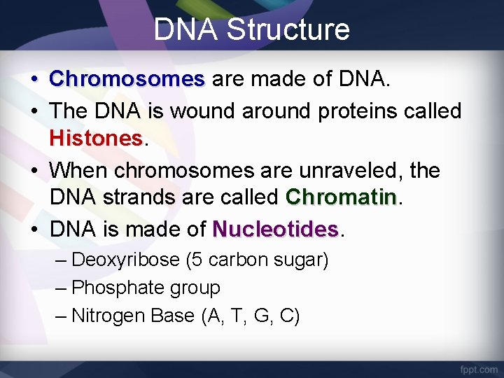 DNA Structure • Chromosomes are made of DNA. • The DNA is wound around