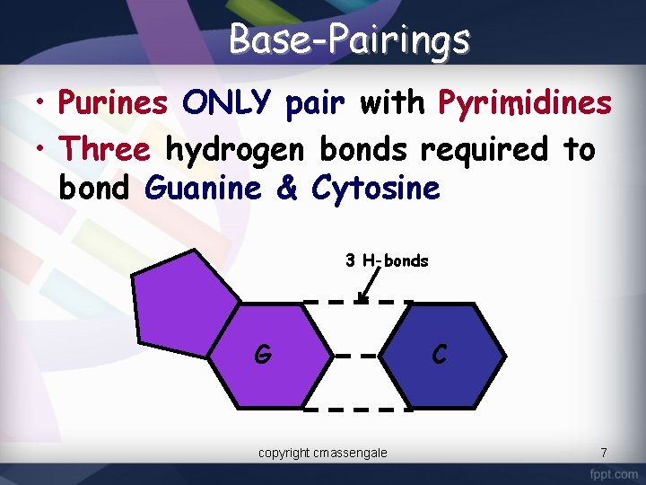 Base-Pairings • Purines ONLY pair with Pyrimidines • Three hydrogen bonds required to bond