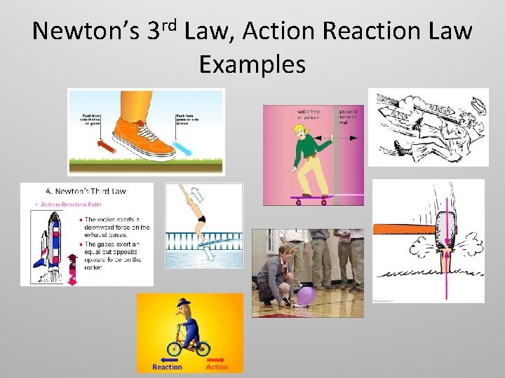 Newton’s 3 rd Law, Action Reaction Law Examples 