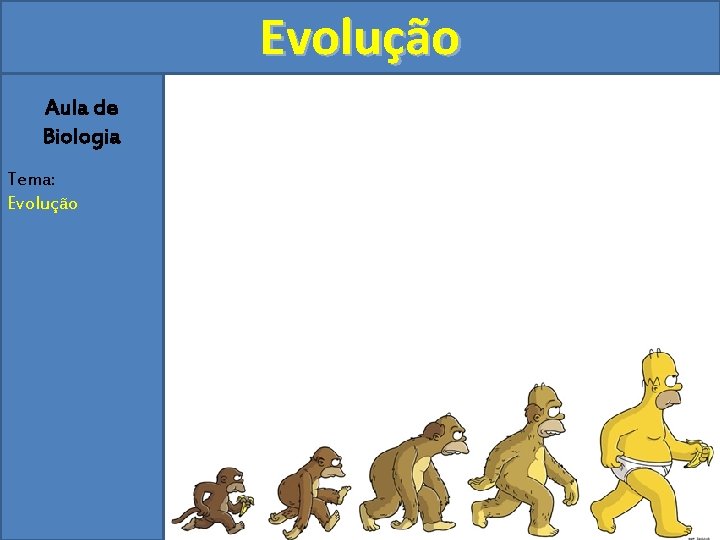 Evolução Aula de Biologia Tema: Evolução 
