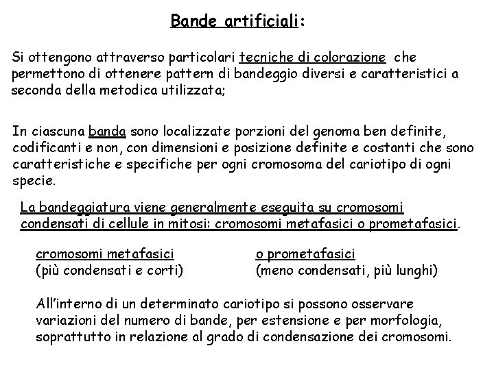 Bande artificiali: Si ottengono attraverso particolari tecniche di colorazione che permettono di ottenere pattern