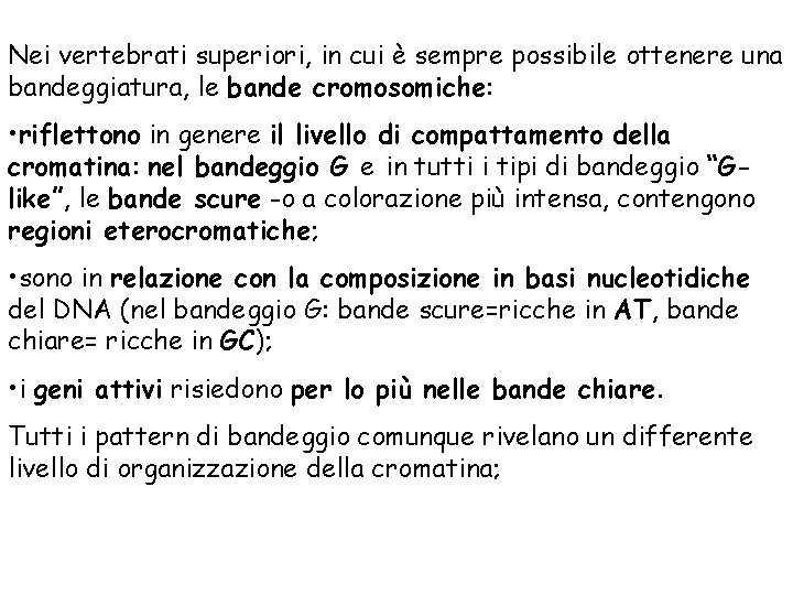 Nei vertebrati superiori, in cui è sempre possibile ottenere una bandeggiatura, le bande cromosomiche: