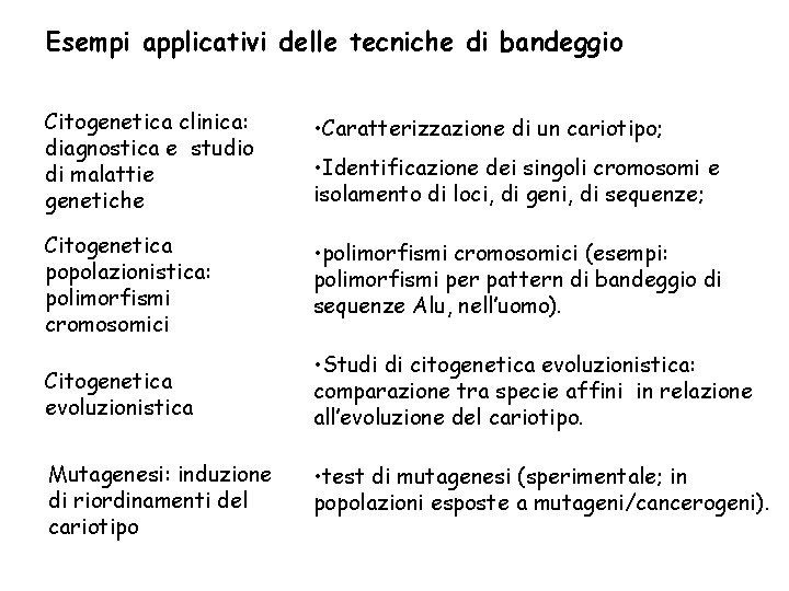 Esempi applicativi delle tecniche di bandeggio Citogenetica clinica: diagnostica e studio di malattie genetiche