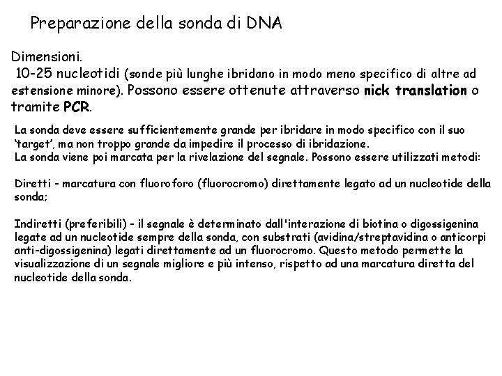 Preparazione della sonda di DNA Dimensioni. 10 -25 nucleotidi (sonde più lunghe ibridano in