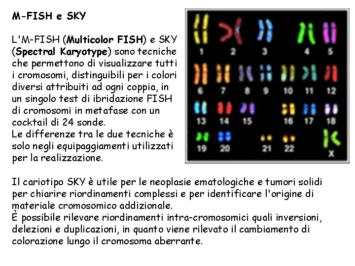 M-FISH e SKY L'M-FISH (Multicolor FISH) e SKY (Spectral Karyotype) sono tecniche permettono di