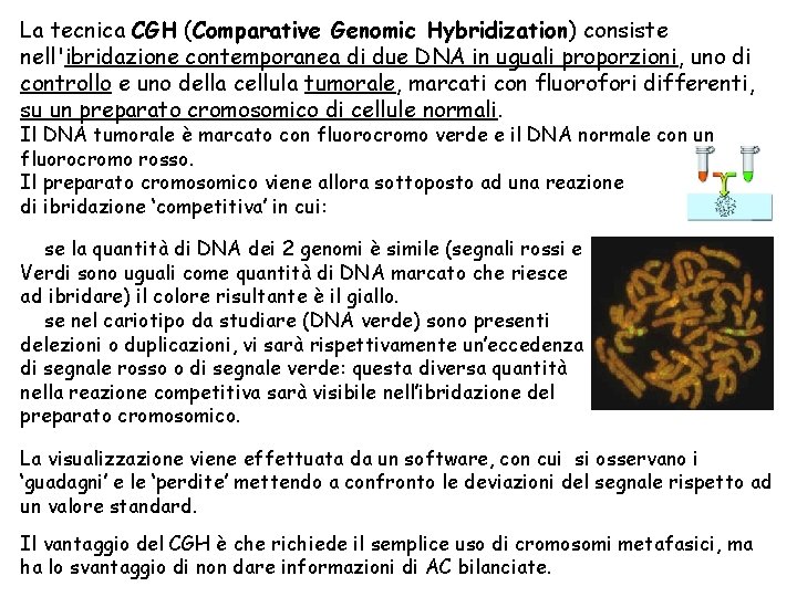 La tecnica CGH (Comparative Genomic Hybridization) consiste nell'ibridazione contemporanea di due DNA in uguali