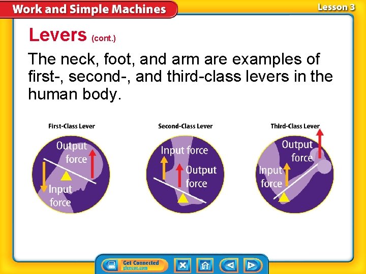 Levers (cont. ) The neck, foot, and arm are examples of first-, second-, and