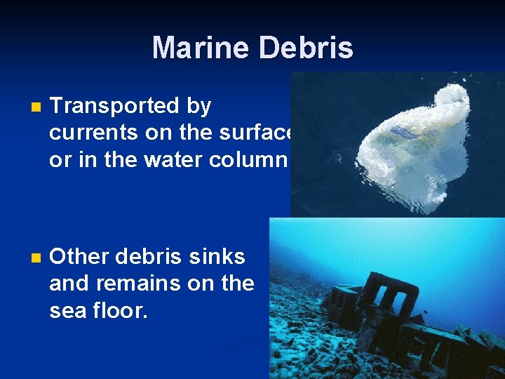 Marine Debris n Transported by currents on the surface or in the water column…