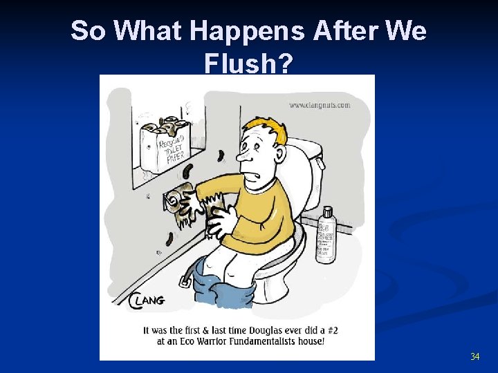 So What Happens After We Flush? 34 