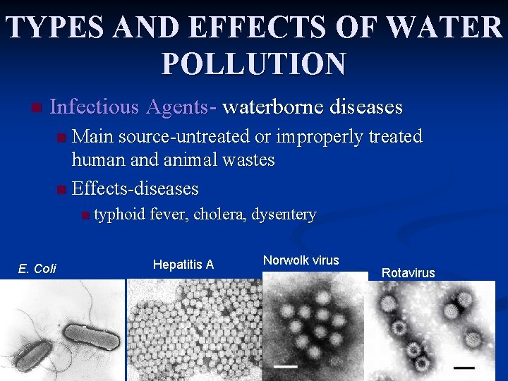 TYPES AND EFFECTS OF WATER POLLUTION n Infectious Agents- waterborne diseases Main source-untreated or