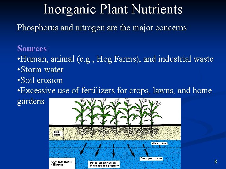 Inorganic Plant Nutrients Phosphorus and nitrogen are the major concerns Sources: • Human, animal