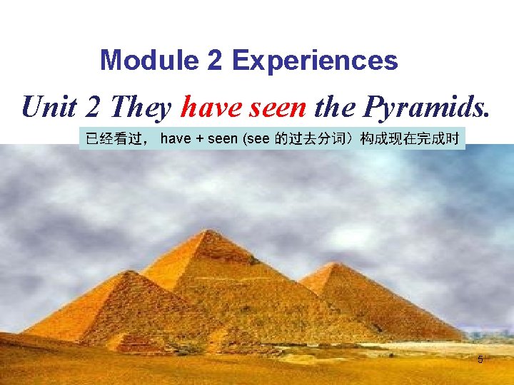 Module 2 Experiences Unit 2 They have seen the Pyramids. 已经看过， have + seen