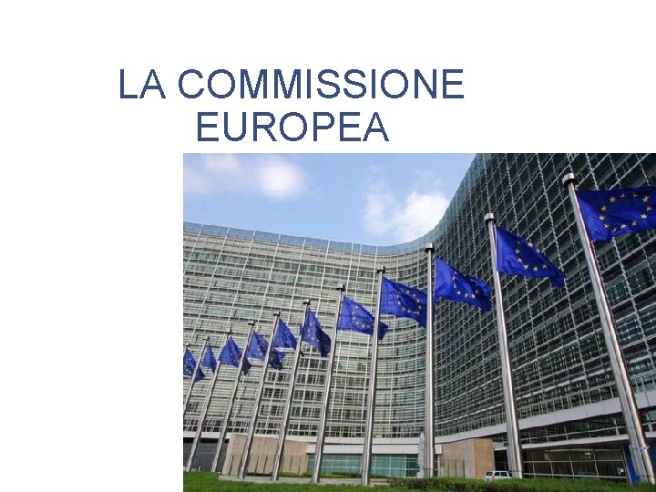 LA COMMISSIONE EUROPEA 