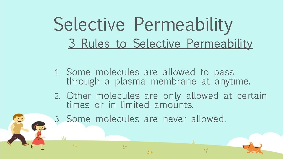 The Plasma Membrane Biology Fall 2017 Question How