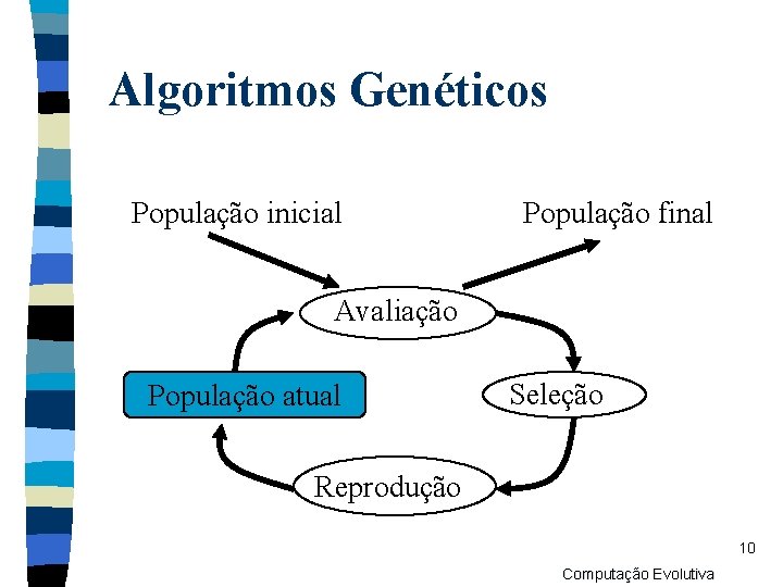 Algoritmos Genéticos População inicial População final Avaliação População atual Seleção Reprodução 10 Computação Evolutiva
