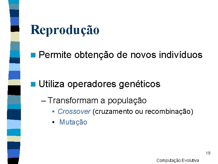 Reprodução n Permite n Utiliza obtenção de novos indivíduos operadores genéticos – Transformam a
