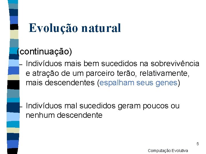 Evolução natural n (continuação) – Indivíduos mais bem sucedidos na sobrevivência e atração de