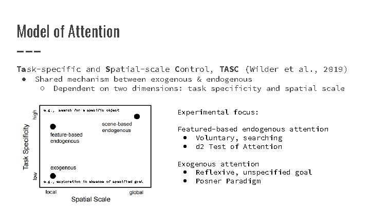Model of Attention Task-specific and Spatial-scale Control, TASC (Wilder et al. , 2019) ●