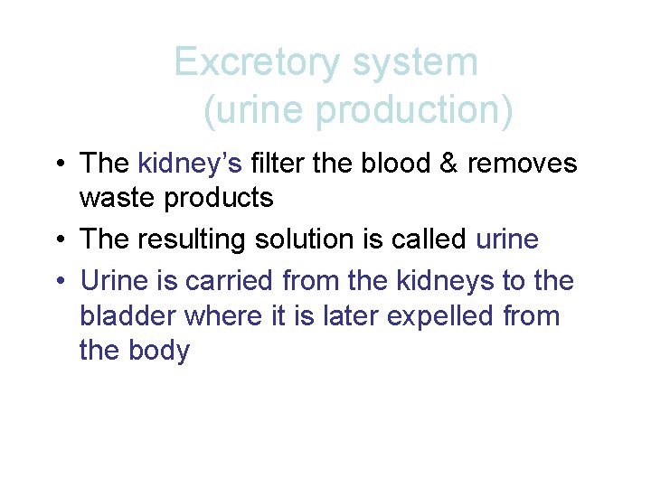 Excretory system (urine production) • The kidney’s filter the blood & removes waste products